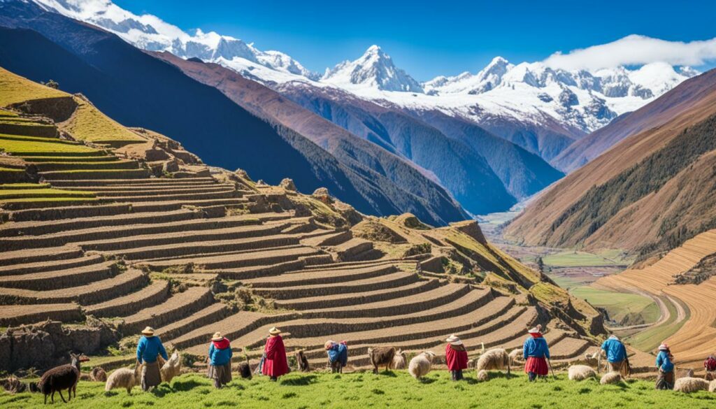 Andean agricultural practices