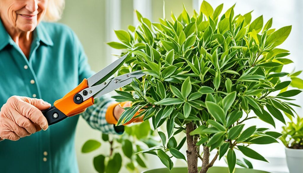 indoor plants care